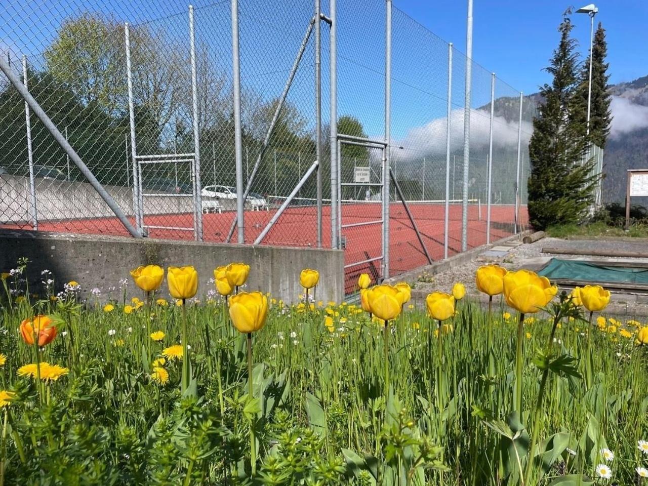 Lakehill72 Seelisberg Dış mekan fotoğraf