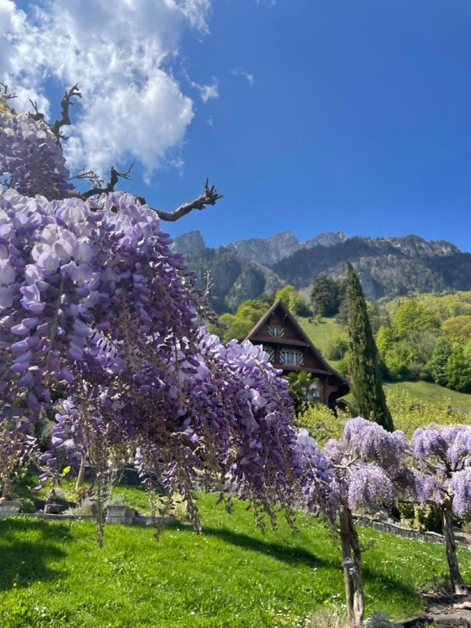 Lakehill72 Seelisberg Dış mekan fotoğraf